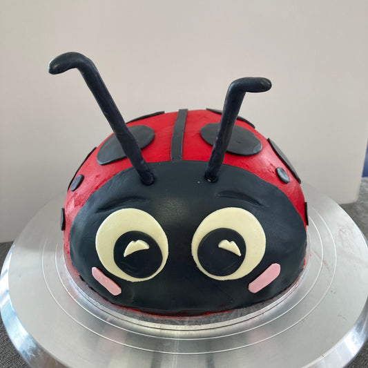 Lucy the Ladybird