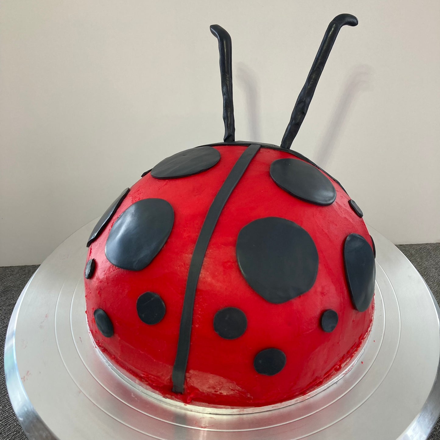 Lucy the Ladybird