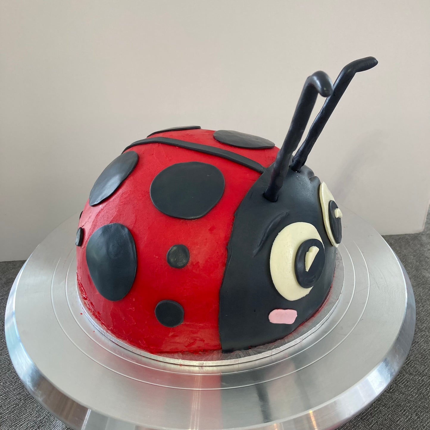 Lucy the Ladybird