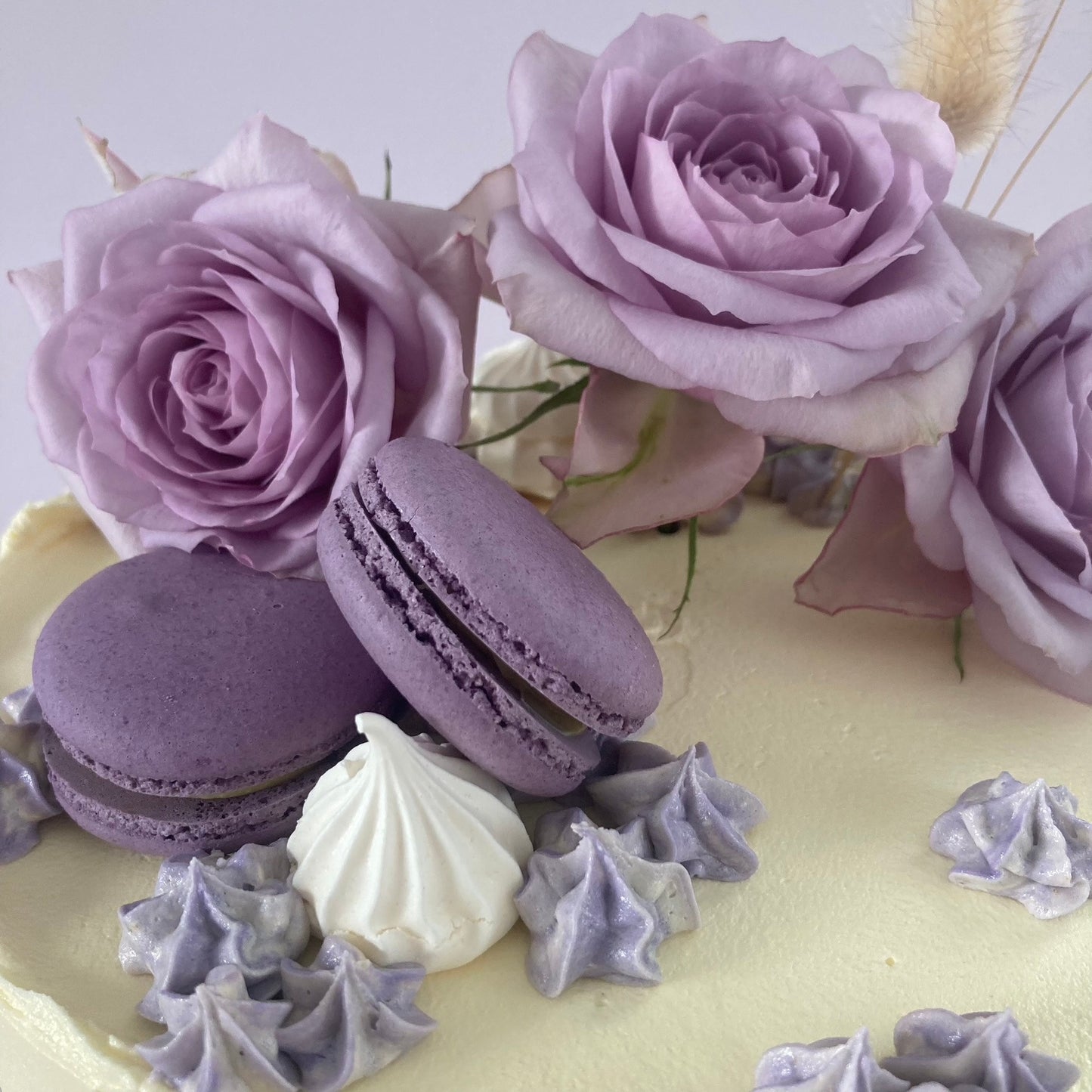 Macarons and Roses